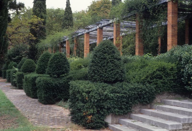 Jardin ; pergola.