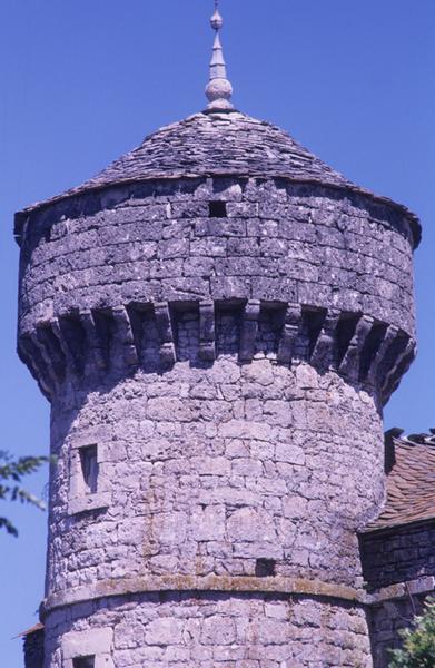 Tour du château, détail du chemin de ronde.