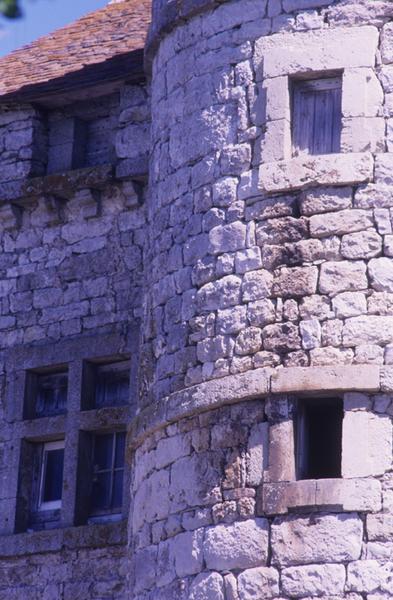 Château, détail des fenêtres.