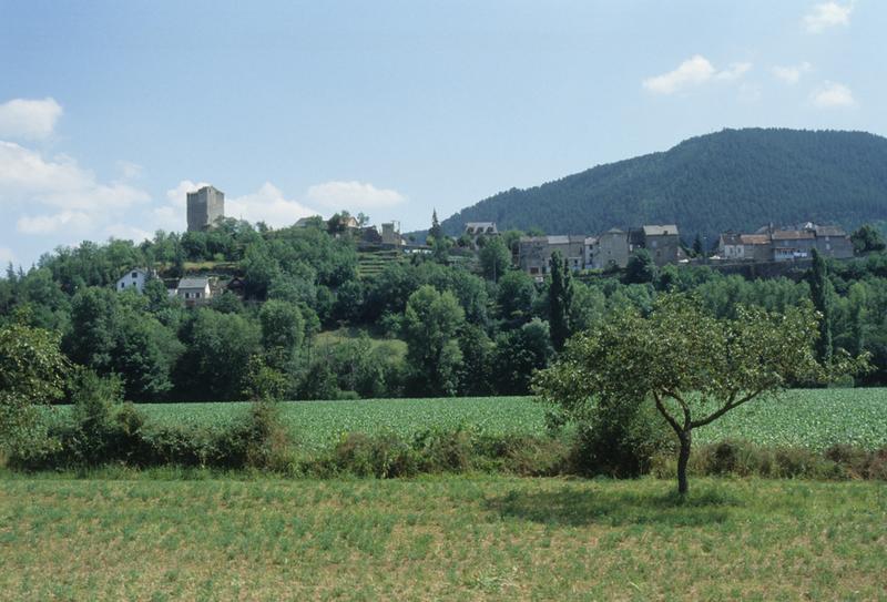 Château de Chanac