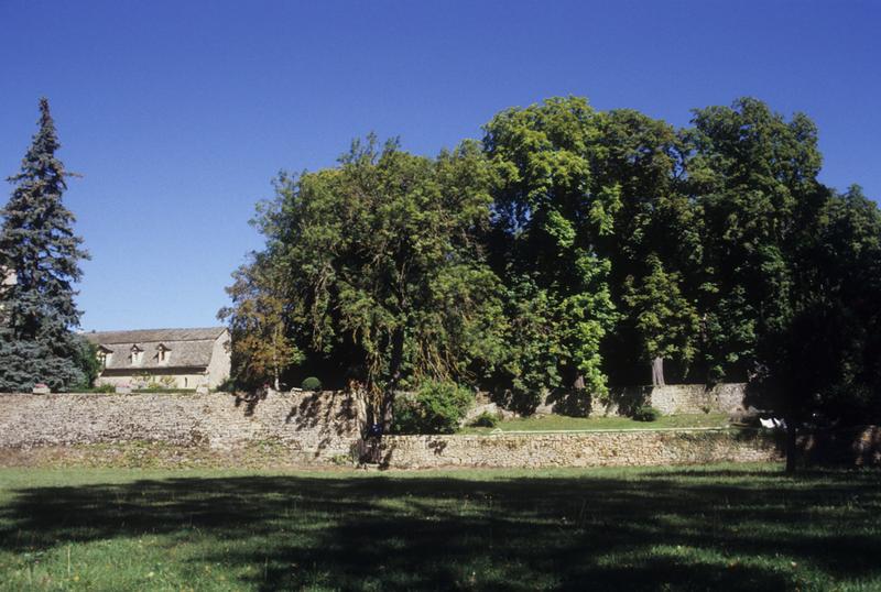 Château de Ressouches