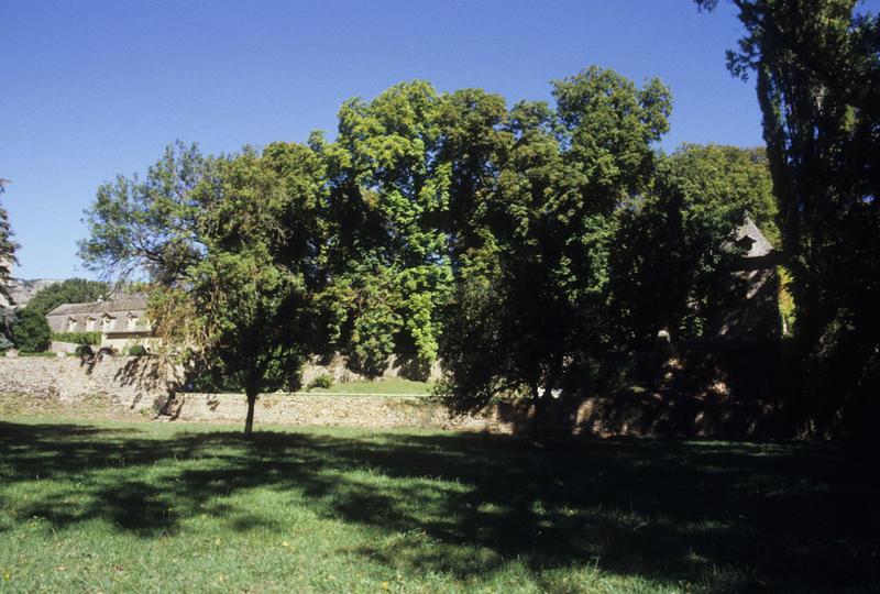 Château de Ressouches