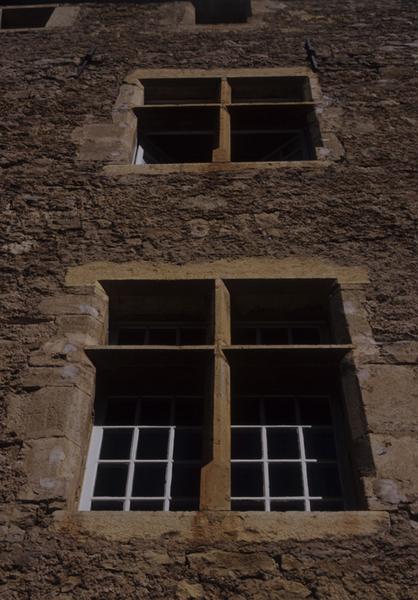 Château de Ressouches