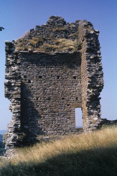 Château de Luc