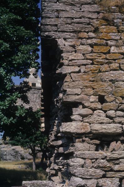 Château de Luc