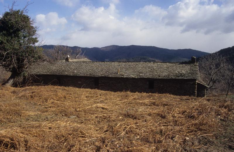 Magnanerie : toit vu depuis l'ouest.