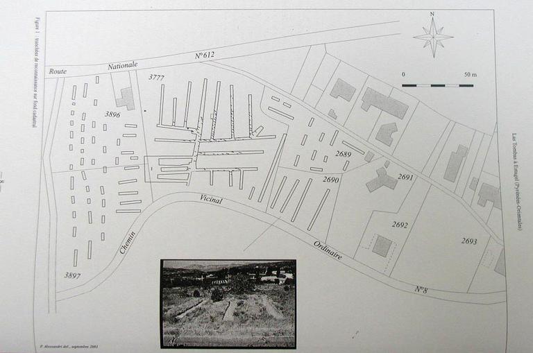 Plan de situation des tombes fouillées.