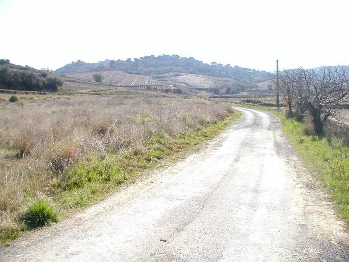 Site du cimetère wisigothique.