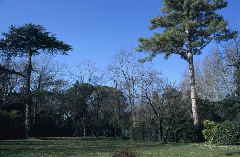 Jardin vu depuis la façade sud.