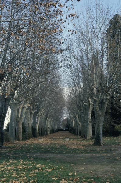 Parc ; allée parallèle au chemin.