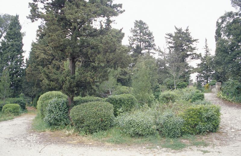 Vue du petit pont dans le parc.