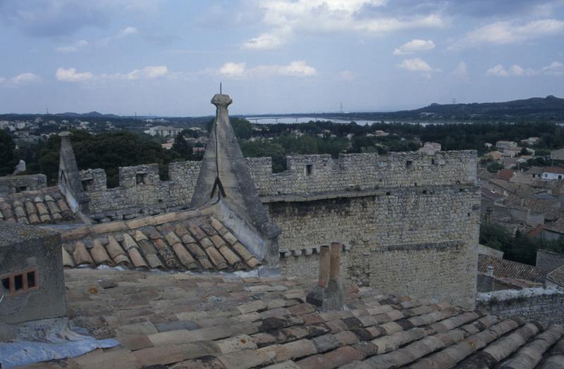 Vue depuis les toits vers le Rhône avec le mur crénelé de l'entrée.