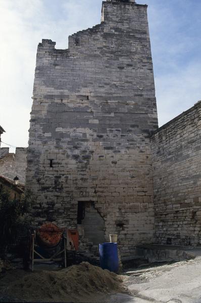 Donjon façade nord-est.