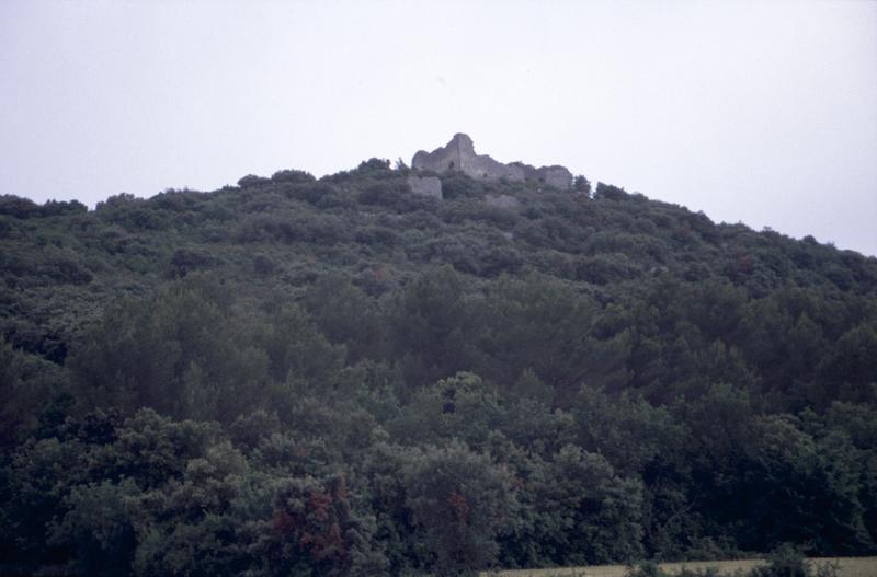 Château de l'Arque