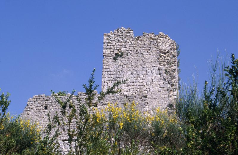 Donjon, face ouest.