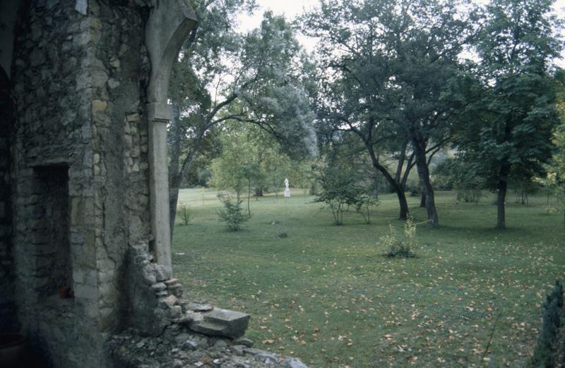 Vue du parc depuis l'ancienne orangerie.