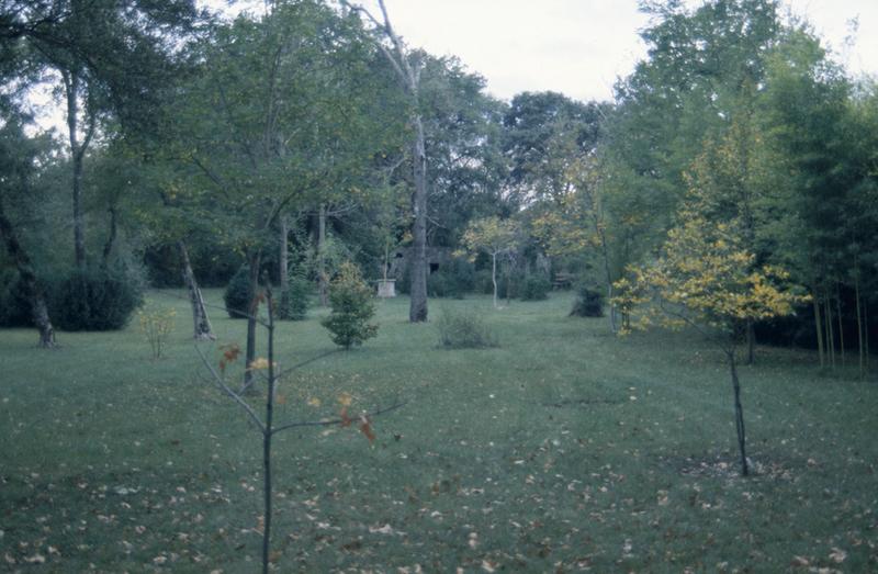 Parc, vue vers la glacière.