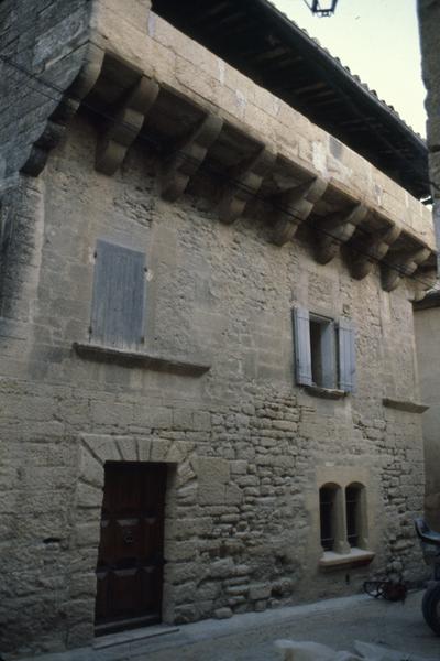 Vue générale (parcelle 81).