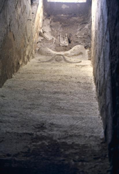 Escalier, parcelle 400, décor des dessous de marches.