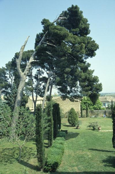 Parc est, vue depuis la terrasse.