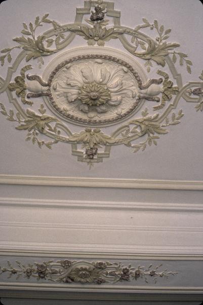 Rez-de-chaussée, petit salon, plafond.