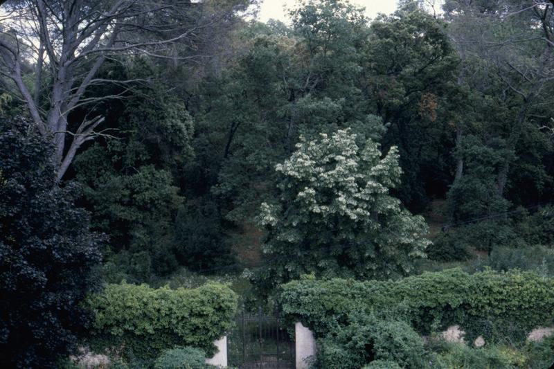 Vue de la garenne : mur de clôture et entrée.