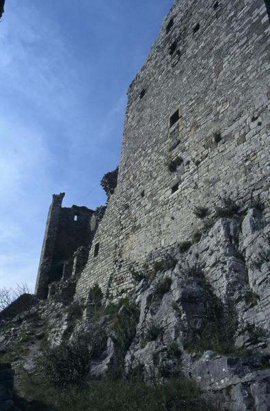 Façade sud du donjon.