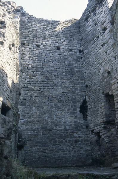 Cour intérieure, mur nord du donjon.