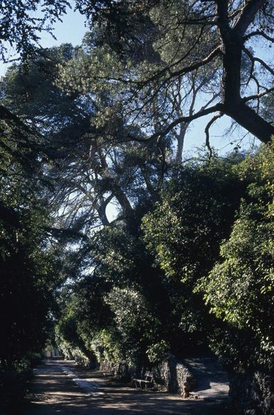 Jardin de la Fontaine