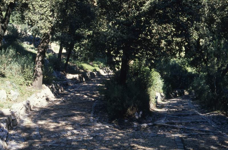 Jardin de la Fontaine