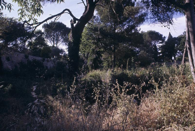 Jardin de la Fontaine