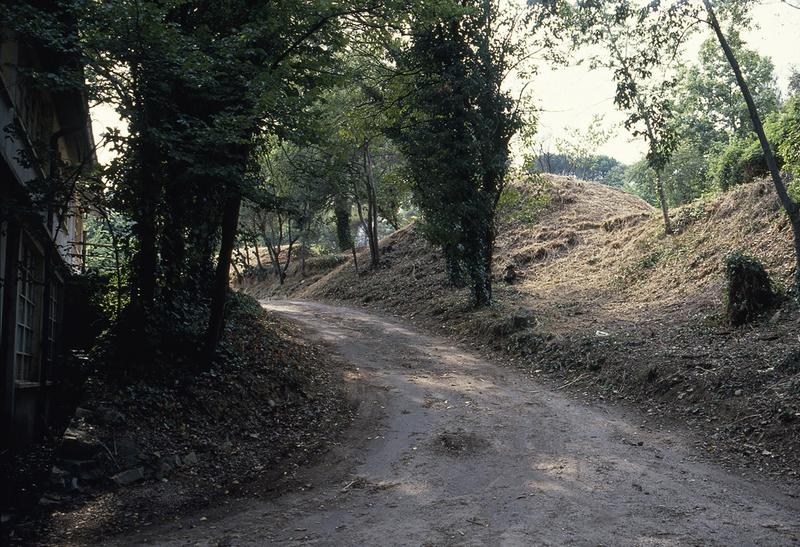 Chemin d'arrivée à l'ancienne brasserie.