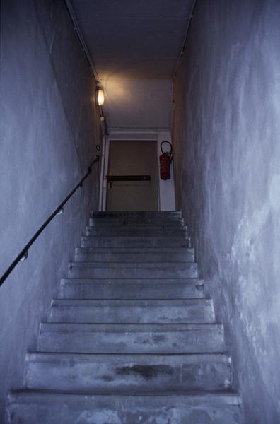 Escalier conduisant à la cave, vue prise depuis la chaudière.