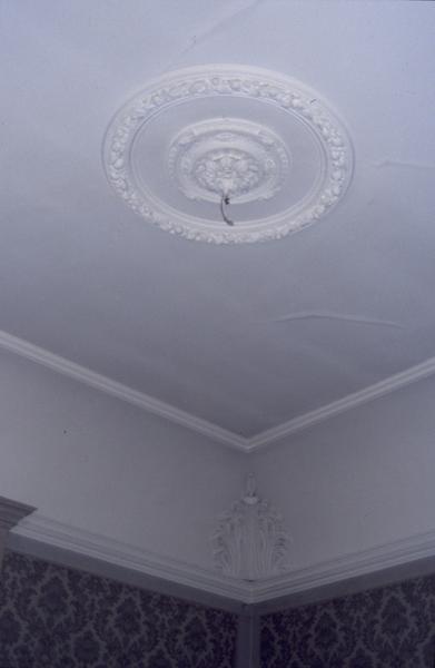 Salon d'entrée, plafond.