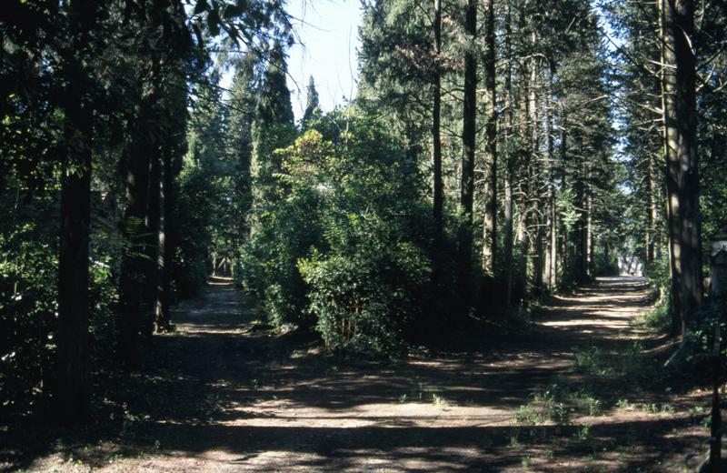 Allées, à gauche l'allée conduisant à la pyramide.