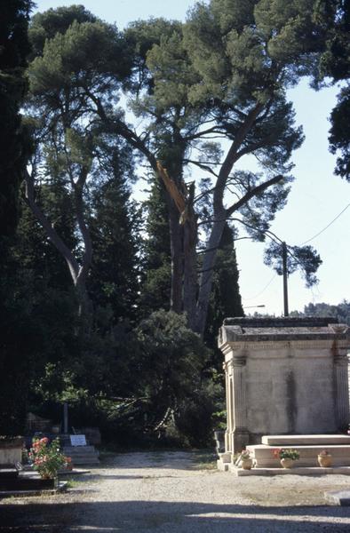 Partie Jeanne Martin, le long de la route d'Alès, arbre cassé.