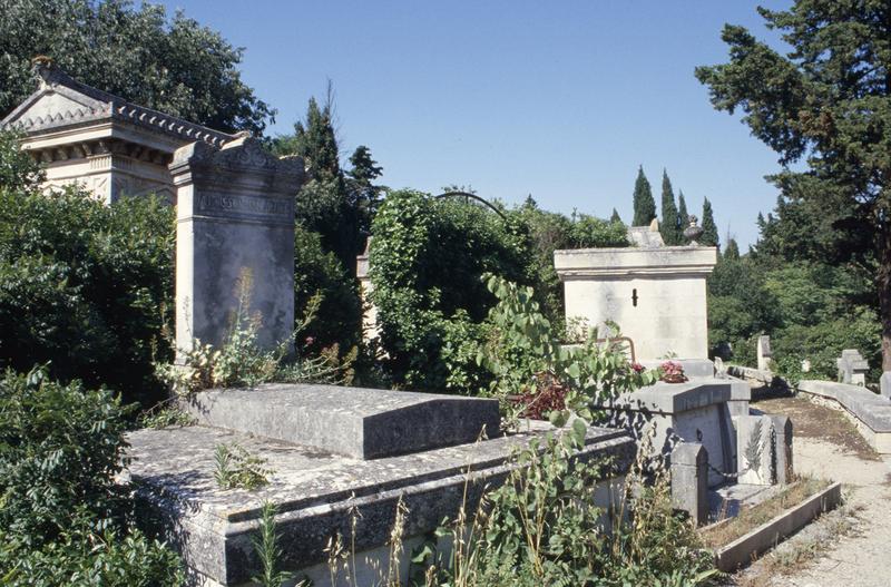 Vue de la première terrasse.