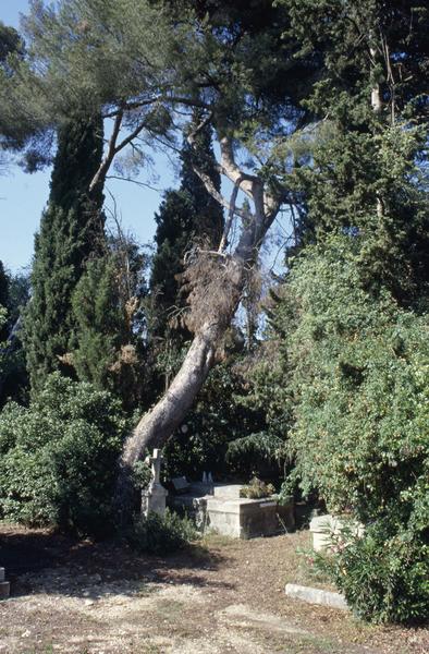 Allée parallèle à Camplanier, vers la sacristie du désert.