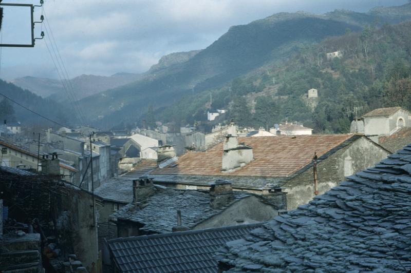 Village