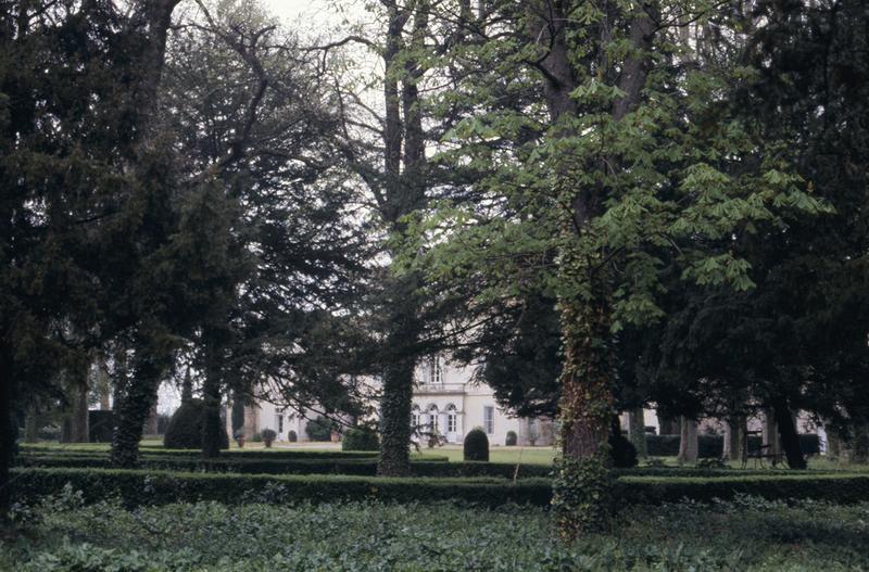 Jardin, buis taillés.