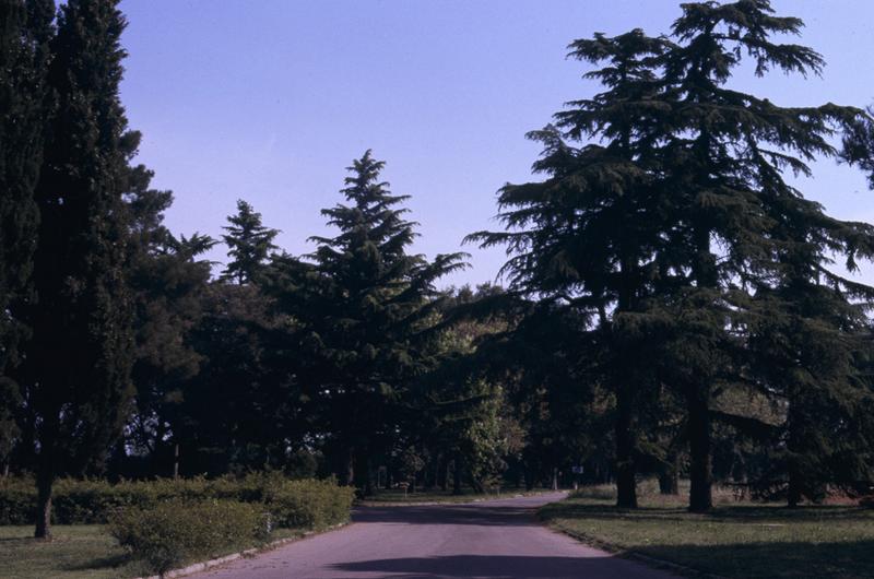 Chemin d'accès.