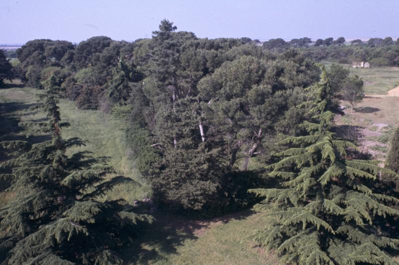 Parc, boisement vu du toit.