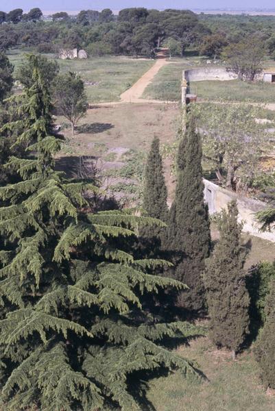 Parc, vue du toit vers le mur de cloture de la ferme.