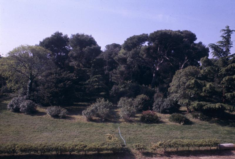 Parc, vue du toit.