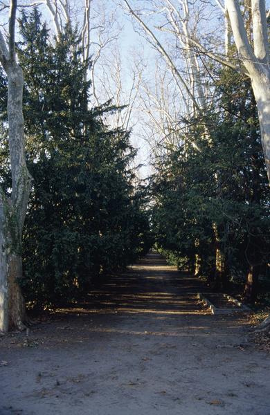 Jardin, allée centrale bordée d'ifs.