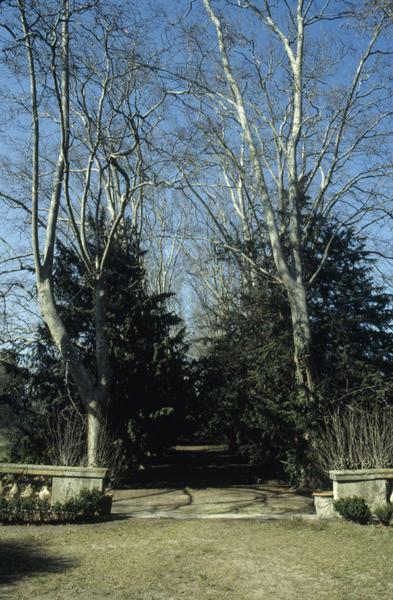 Jardin, allée centrale bordée d'ifs, vue depuis la terrasse.