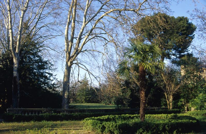 Jardin, terrasse.