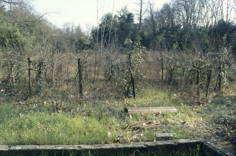 Jardin, ancien verger à côté de la serre.