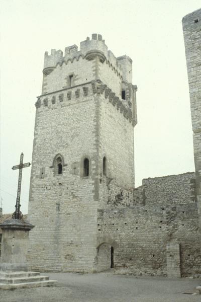 Donjon, côté sud.