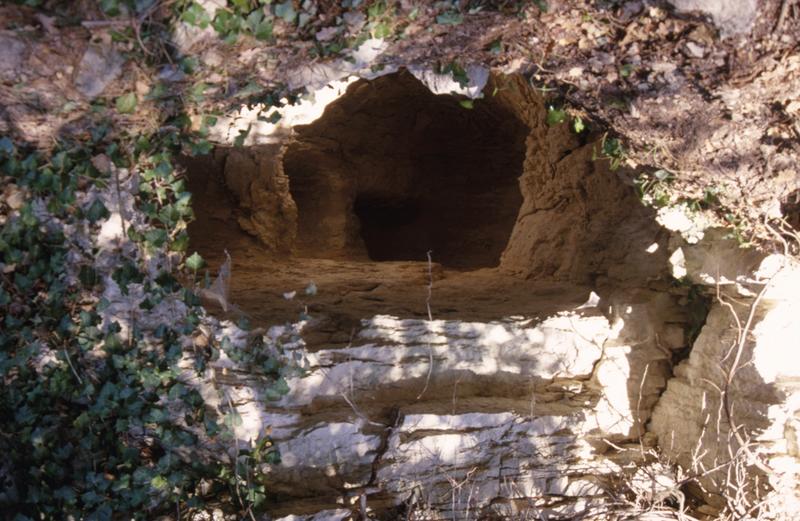 Parc, grotte.